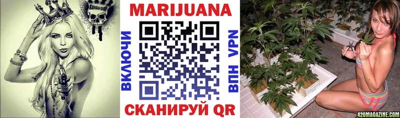 Бошки Шишки план Озёры